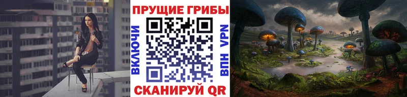 Галлюциногенные грибы GOLDEN TEACHER Струнино