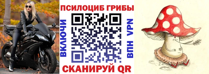 Галлюциногенные грибы GOLDEN TEACHER  blacksprut ссылка  Струнино 
